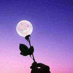 [강다니엘] 강다니엘 : 제 <b>소원</b>은요