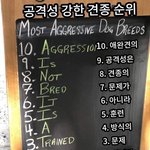 계속 연락이 오는건 관심있는거야 <b>어장</b>이야?