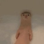 [댓글부탁해] 난 지금이 편해 뭘 해도 밤에도 잘자고 커피를 그렇게 마셔<b>대도</b>