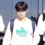 손<b>동표</b> 공항 패샨 뭐임