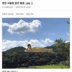 [댓글부탁해] <b>합성</b>같은 시골집 앞산 풍경