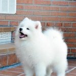 [댓글부탁해] 포스<b>타입</b> 성인인증 한 계정