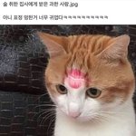 [댓글부탁해] 옷 <b>센스</b> 좀 있는 애들아