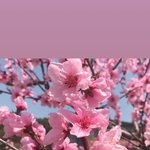 [드루와] 3달 짝사랑 성공썰 푼다!!!@ (<b>외전</b>5)