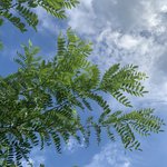 [ㅈㄱㄴ] 나 사주에 도화 <b>홍염</b> 화개 다 있음