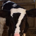 볼수록 빠져드는 <b>털옷</b> 입었어