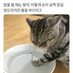 [댓글부탁해] <b>전남</b>친 프사 이건데 뭘까