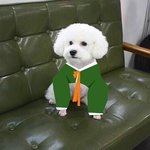 [드루와] 차차<b>틴트</b>나 <b>베네틴트</b> 쓰는 사람 있어?