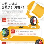 [댓글부탁해] 세계 각국의 <b>음주</b>운전 처벌