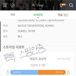 [세븐틴] 솔직히 언제까지 좋은소리만 할 순 없잖아