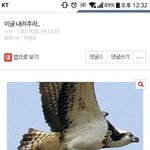 학교 <b>안</b><b>간</b>사람있냐
