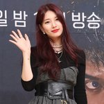 수지 배가<b>본드</b> 제작발표회 조녜