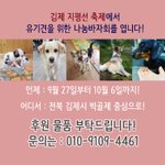 [강아지] 유기견돕기 바자회<b>물품</b>