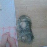 [댓글부탁해] 아니 얘들아 내가방금 카메라 <b>뒷면</b>으로 나를찍었는데