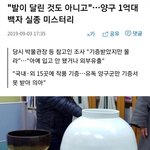 [드루와] <b>헬조선</b>에서 기부를 한다면?