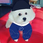 [드루와] <b>러브</b>틴트 쓰는 사람!!