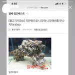 나 아는 남자애 지 ㅇㅂ충인거 페북 스토리에 <b>올림</b>