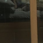[댓글부탁해] +너네도 강아지랑 싸우냐