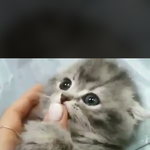 <b>진학</b>/진로상담받을까???