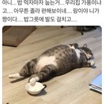 [드루와] 누가 더 잘못 했는지 추반 ㄱㄱ