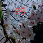 [<b>댓글</b>부탁해] 야 뭐가 젤 잘찍었음? 골라<b>저</b>