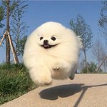 [ㅈㄱㄴ] <b>양성</b>애자인데 친구가 나 좋아하나?