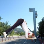[추반] 너네 <b>새</b> <b>옷</b> 빨고 입음??