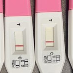 [19] 임신테스트기 <b>불안</b>해......