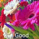 <b>Good</b> morning!