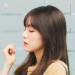 <b>스위스</b> 간 레드벨벳