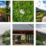 여행지 추천! 가평 아침고요수목원, 전남 순천만습지, 제주도 <b>새별</b>오름