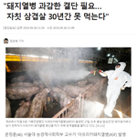 [모두드루와] 최근 우리나라에서도 <b>발병</b>한 아프리카 돼지열병이 무서운...