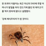 [모두드루와] 물리면 강제 <b>채식</b>주의자가 된다???