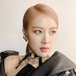 블핑 블랙핑크 지수 <b>리사</b> 로제 제니