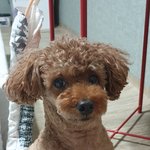 목에 <b>왕자</b> 있는거지?