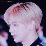 [강다니엘] 무한새<b>고중</b>ㅋㅋㅋㅋㅋ