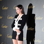 지수 까르띠에 <b>기사</b> 사진 모음