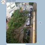 [댓글부탁해] 주<b>차선</b>을 지켜야하는 이유
