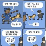 카톡 기프트콘 <b>무난</b>하게 뭐가 좋을까?