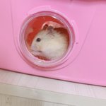 나의 탈덕 이유를 찾아봐봐