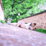 웨딩플래너와 신부가 눈 맞은 드라마