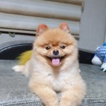 세 아들녀석들1