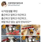 <b>요즘</b> 직장생활 <b>루틴</b>.jpg