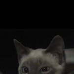 [ㅋㅋㅋㅋㅋ] 오늘 우리학교 <b>밥</b>이 모자라서 <b>밥</b>을 못먹었음ㅋㅋㅋㅋ