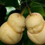 [댓글부탁해] 나만 <b>처녀</b>라는 말 싫냐