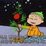 [드루와] 다들 오늘의 소<b>확</b><b>행</b> 말해보자