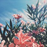 클래식 좋아하는 사람 없나