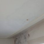 [꼭조언부탁] <b>누수</b>를 결로라하는 윗집. 대처 방법은?