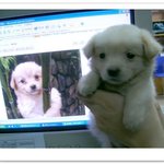 [드루와] 블랙<b>헤드</b> 많은애들 들어와봐