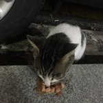[드루와] 고3 중에 나 <b>처럼</b> 벌써 재수 생각하는 사람
